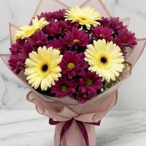 Gerbera and Chrysanthemum Fusion